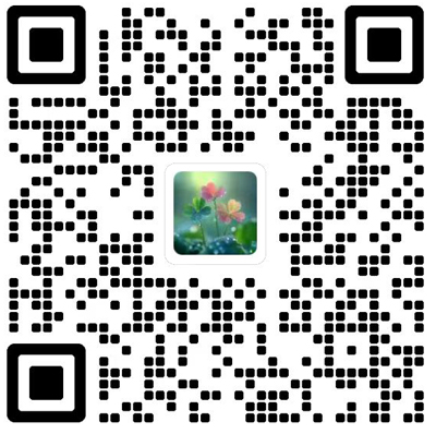 Animal Diseases杂志模板